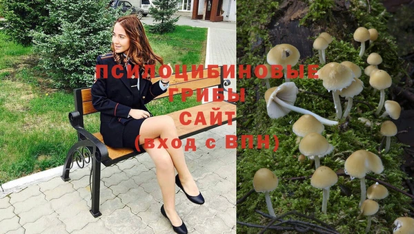 стафф Абаза