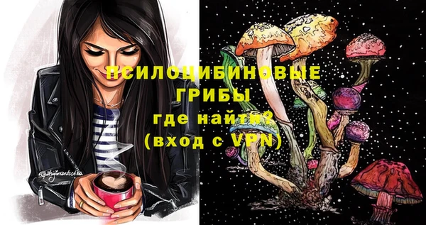 стафф Абаза